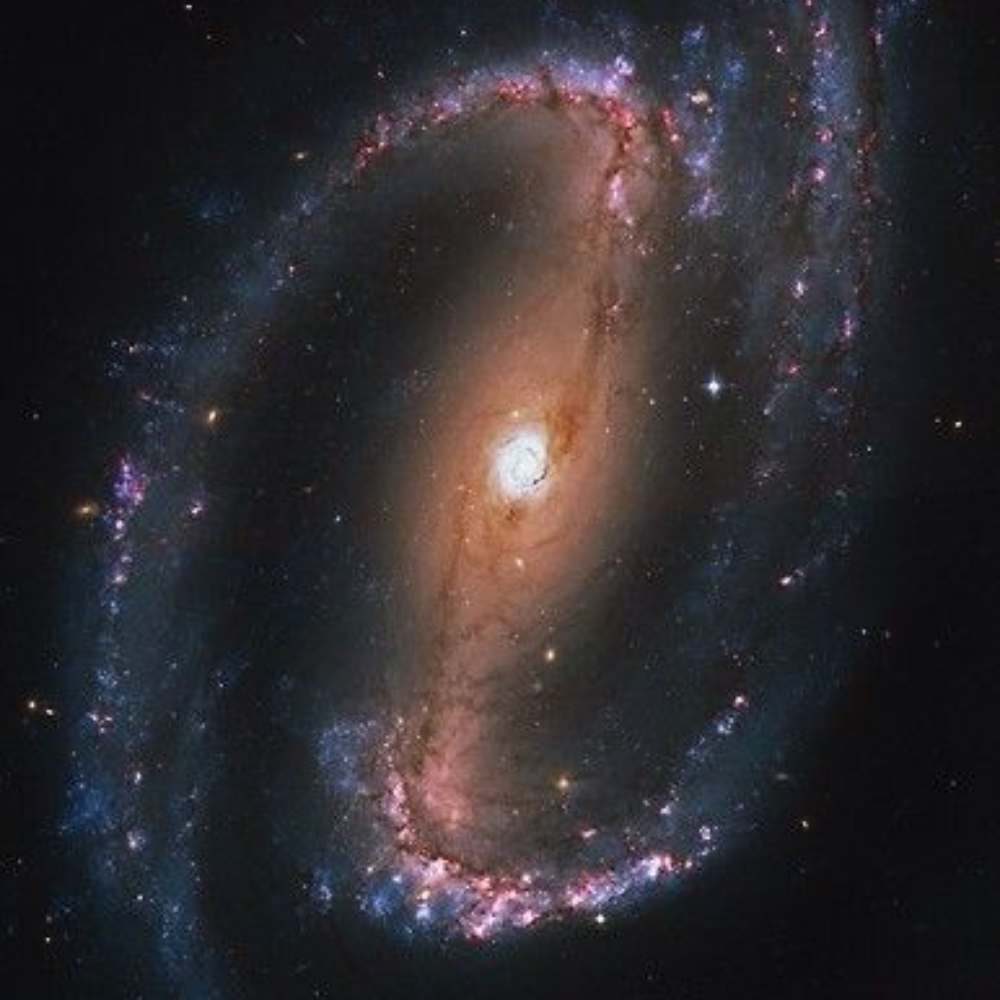 A vivid image of a barred spiral galaxy within the Eridanus Cluster, showing a bright central core, a prominent horizontal bar, and swirling spiral arms filled with blue and pink star-forming regions.