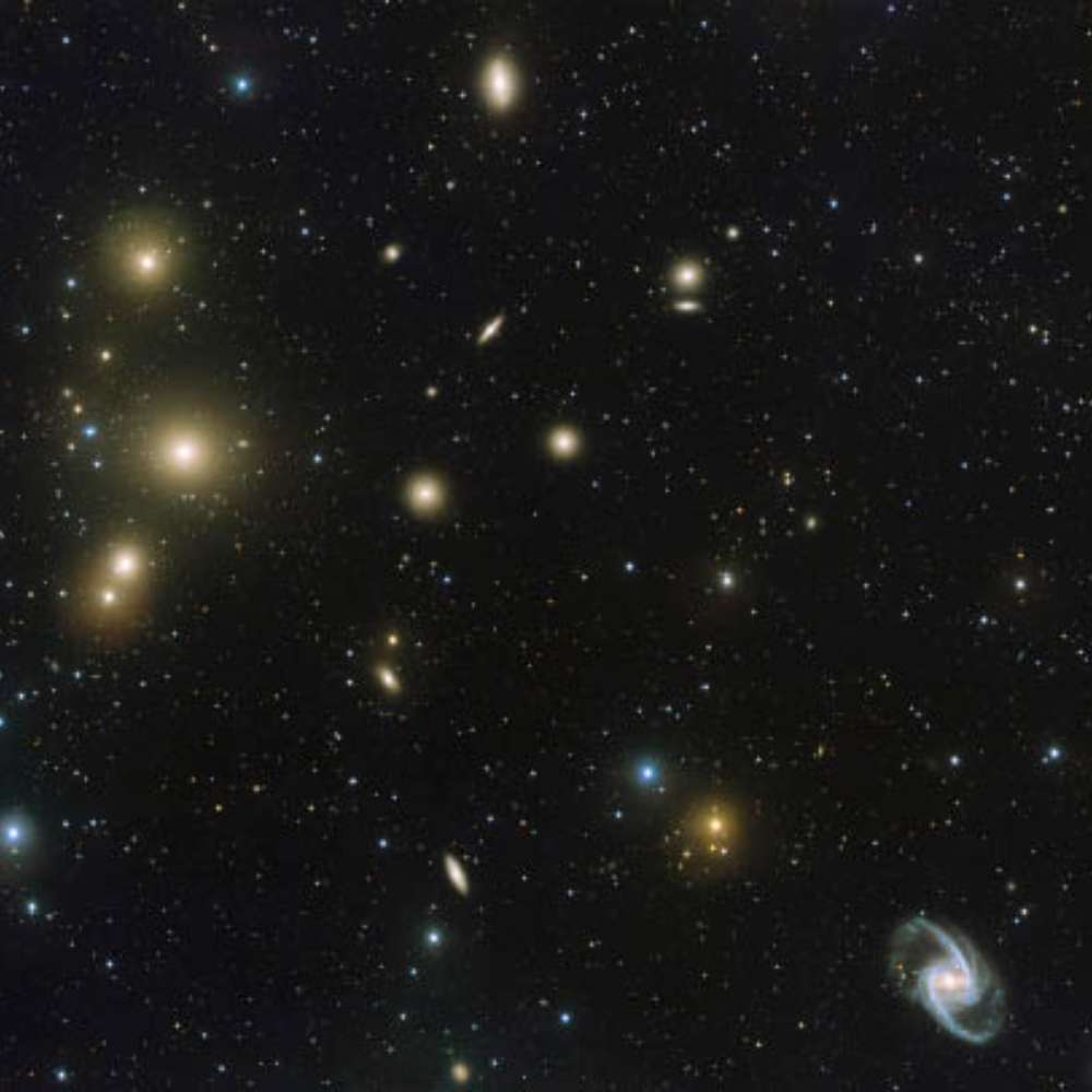 A deep-space image of the Fornax Cluster showing numerous elliptical galaxies glowing yellowish, scattered across a dark starfield, with a lone spiral galaxy at the bottom right.