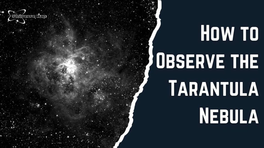Grayscale image of the Tarantula Nebula showing complex gas structures and star clusters in a high-contrast telescope-like view, representing how the nebula might appear through observational instruments.