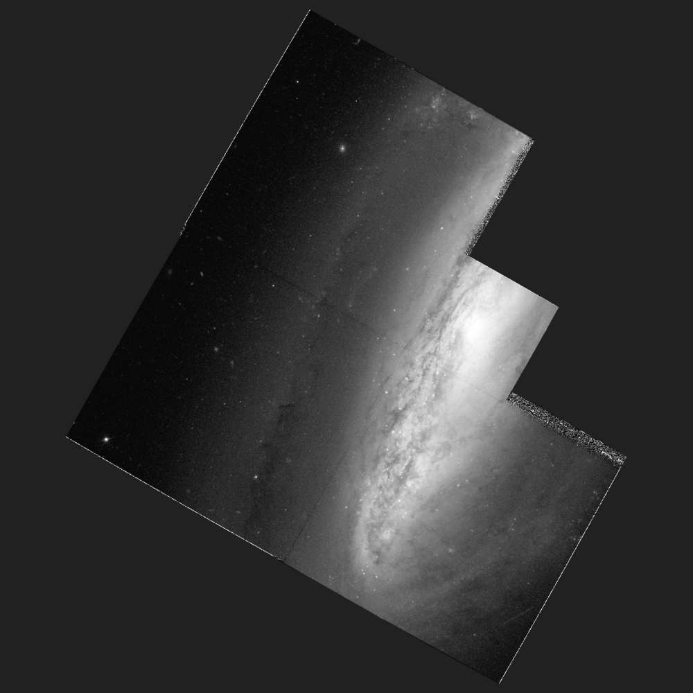 A grayscale mosaic image of NGC 7582, showing a barred spiral galaxy with a bright core, dark dust lanes, and a tilted disk structure captured by the Hubble Space Telescope.