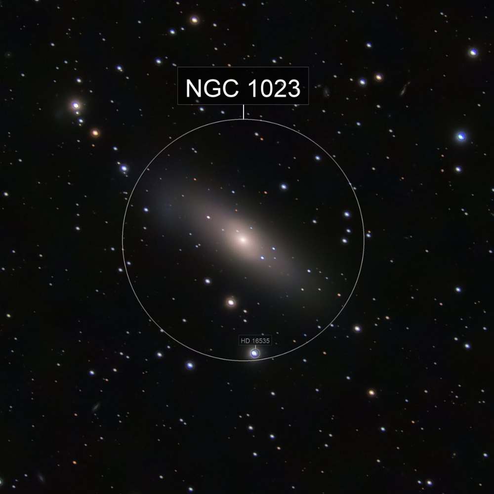 A telescopic image of NGC 1023, a lenticular galaxy with a bright central bulge and a smooth, elliptical halo surrounded by scattered background stars. The galaxy is labeled and encircled for emphasis.