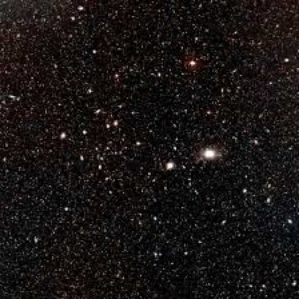 Wide-field image of the A3565 Group showing dense regions of galaxies, including elliptical and spiral types, set against a rich star field in the southern sky.