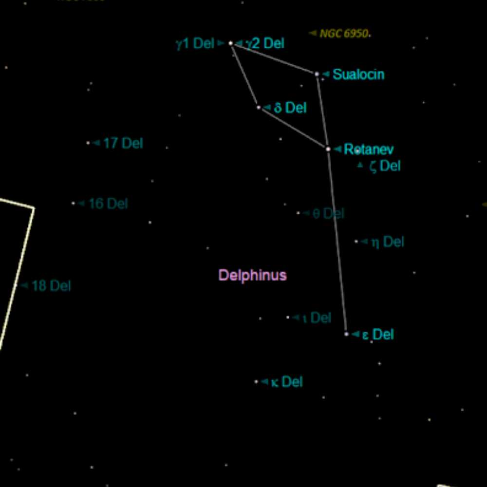Constellation map showing Delphinus and surrounding stars like Sualocin, Rotanev, and Gamma Delphini, used to locate the region of the Delphinus Void.