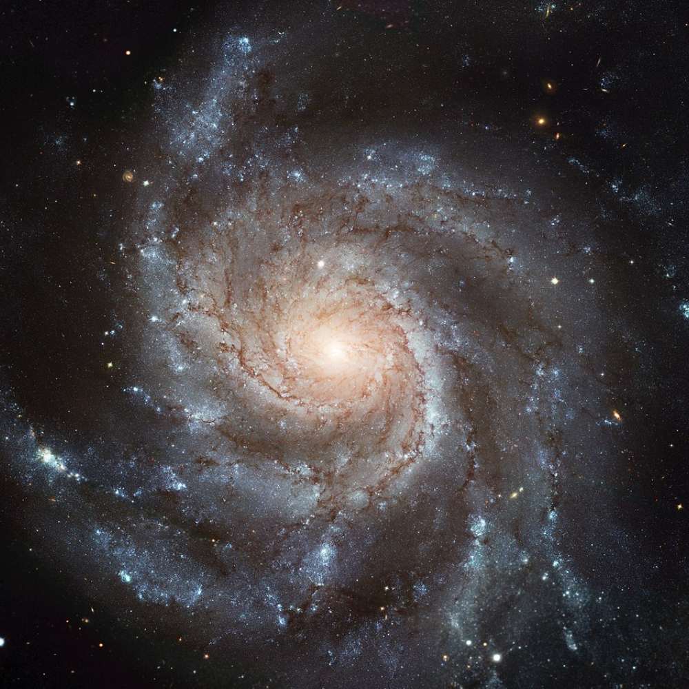 Detailed image of the Pinwheel Galaxy (M101), the dominant galaxy of the M101 Group, showing tightly wound spiral arms, glowing star-forming regions, and a bright galactic center.