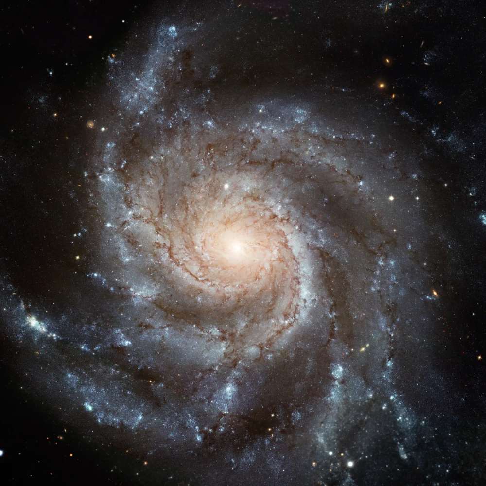 High-resolution Hubble image of the Pinwheel Galaxy (M101), displaying its symmetrical spiral arms, bright core, and star-forming regions.