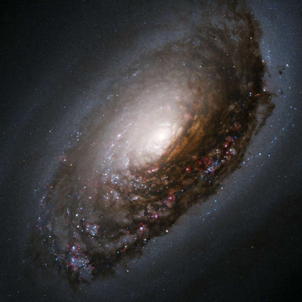 High-resolution image of M94, the central galaxy of the M94 Group, showing inner dust lanes, glowing starburst ring, and a bright galactic core.