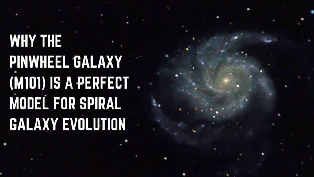 Detailed image of the Pinwheel Galaxy (M101) showcasing its extended spiral arms and star-forming regions, making it an ideal model for spiral galaxy evolution studies.