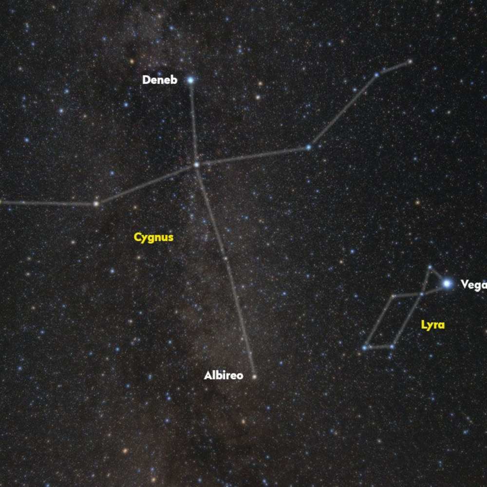 Star map of the Cygnus constellation showing major stars like Deneb and Albireo, forming the Northern Cross pattern near the Lyra constellation and Vega.