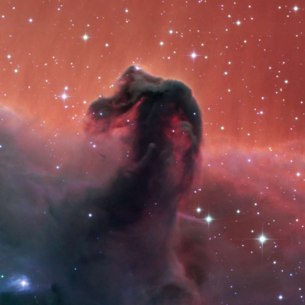 High-resolution image of the Horsehead Nebula, a dark dust cloud in the Orion constellation silhouetted against a glowing red background.