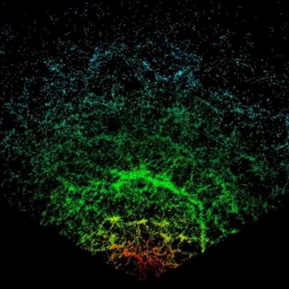 3D map visualization of the Sloan Great Wall, showing the large-scale structure of galaxy filaments in the cosmic web as revealed by SDSS survey data.