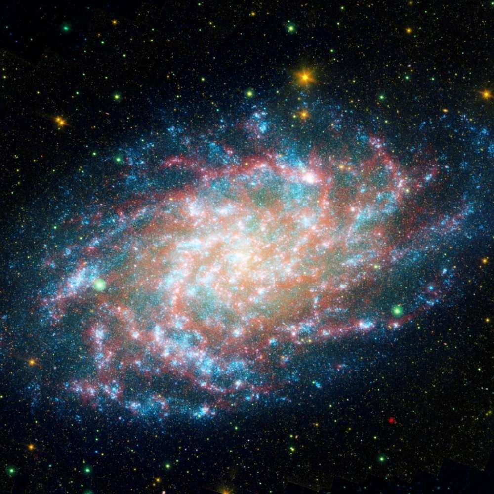 Infrared and optical composite image of the Triangulum Galaxy (M33), revealing bright blue star-forming regions and swirling spiral arms in vivid detail.