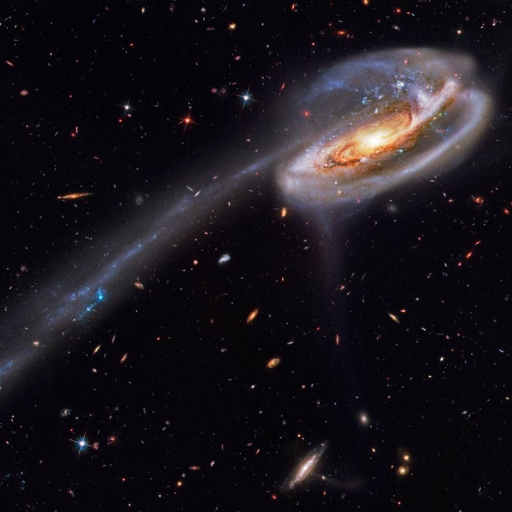 Hubble image of the Tadpole Galaxy (UGC 10214) showing a long blue tidal tail formed by a galactic collision and scattered star clusters.