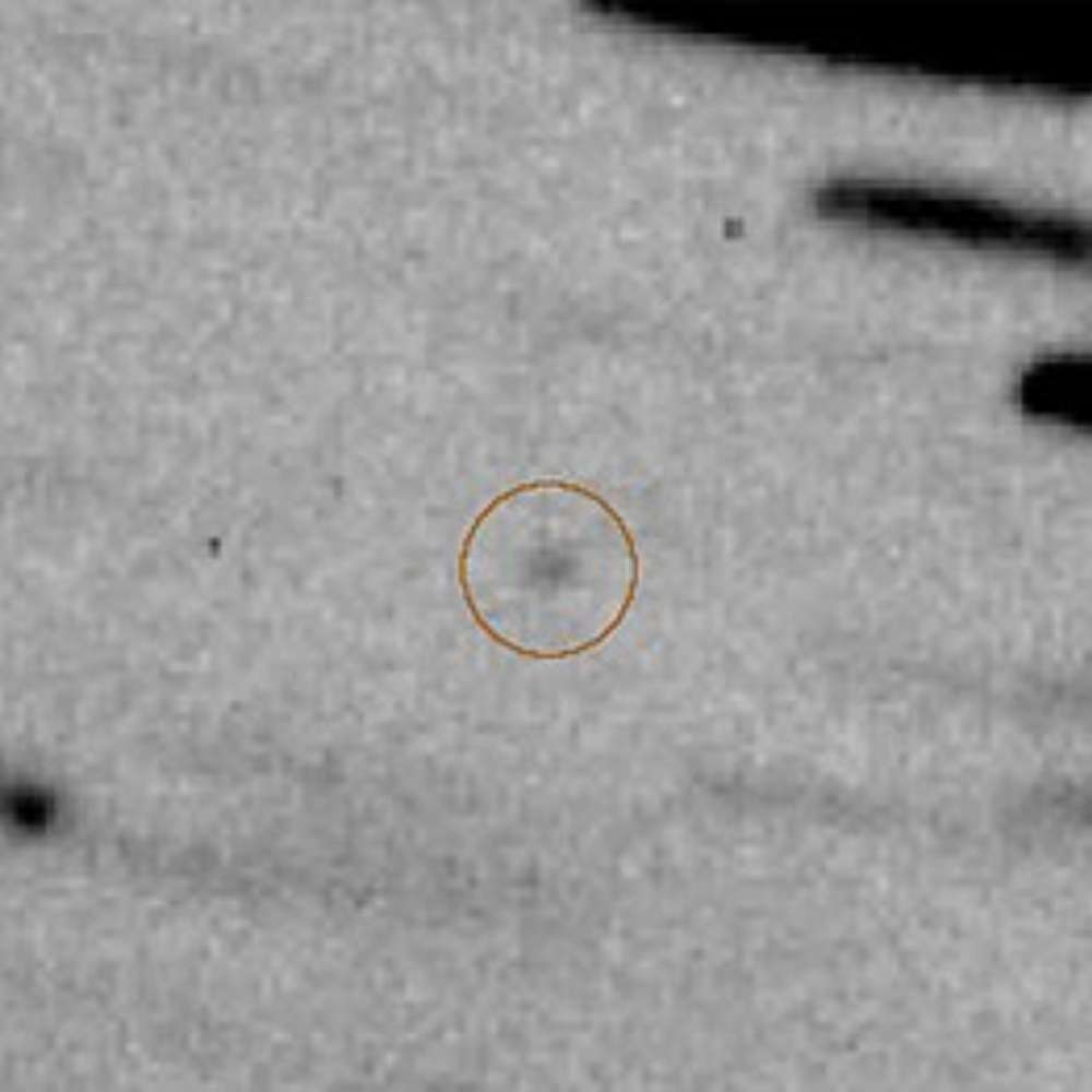 2020 XL5 Earth Trojan asteroid detected near the Sun–Earth L4 Lagrange point, highlighted in a telescope observation image.