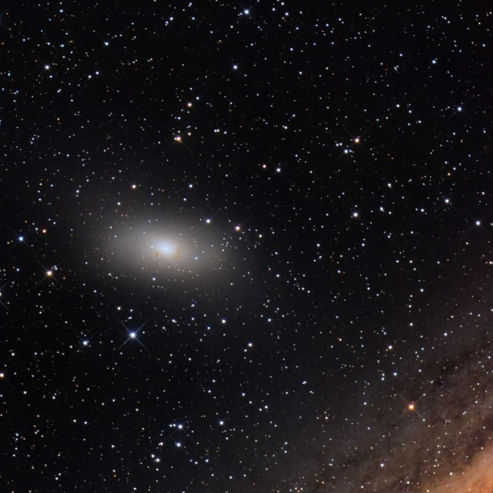 High-resolution image of M110, a dwarf elliptical satellite galaxy of Andromeda, shown against a dense background of stars.
