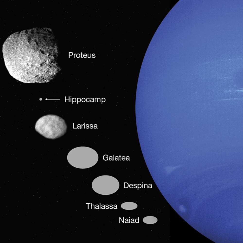 Diagram showing Neptune and its inner moons with Neptune Trojans located near the planet’s Lagrange points, including Proteus, Larissa, Galatea, Despina, Thalassa, and Naiad for scale.