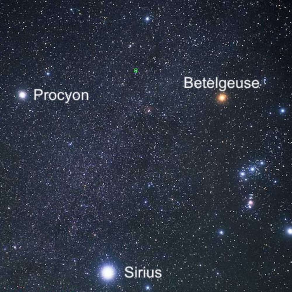 Labeled star map showing Procyon, Sirius, and Betelgeuse in the night sky, highlighting their positions within the Winter Triangle asterism.