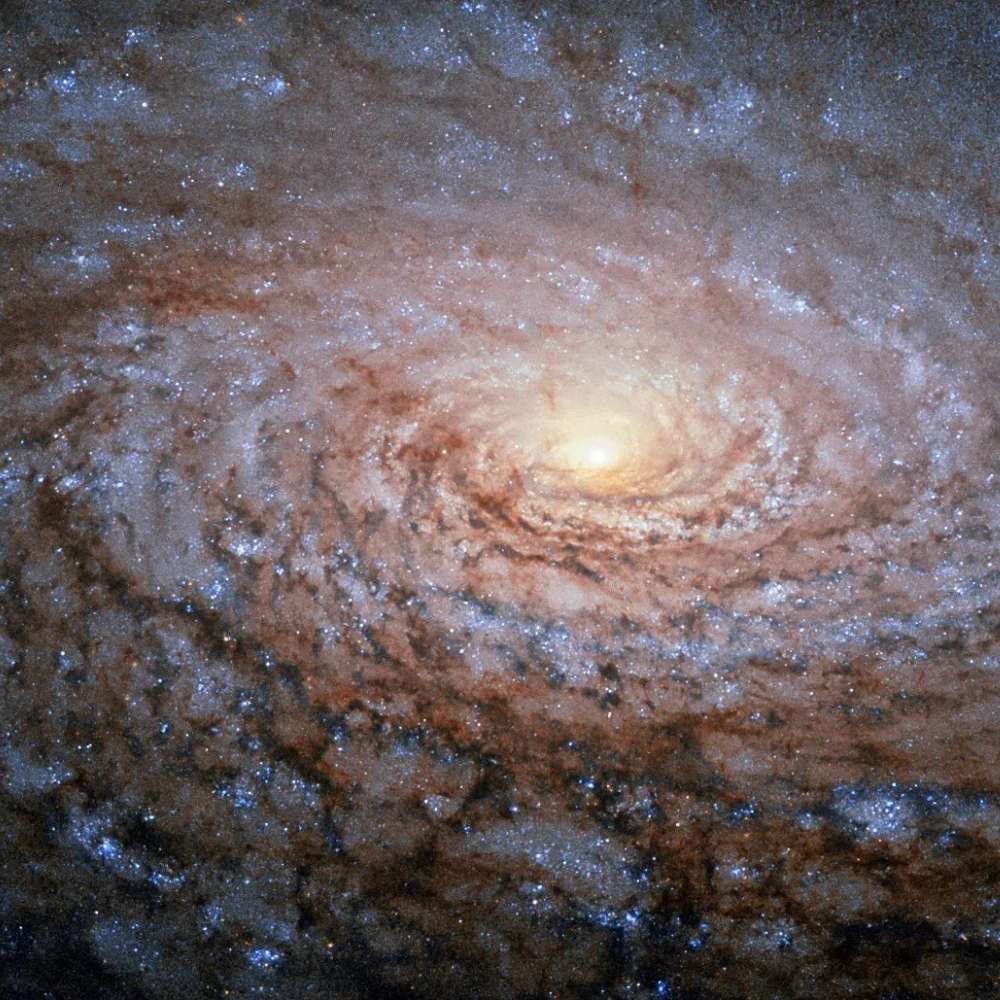High-resolution Hubble image of the Sunflower Galaxy (M63), a flocculent spiral galaxy with patchy spiral arms and a bright yellow core.